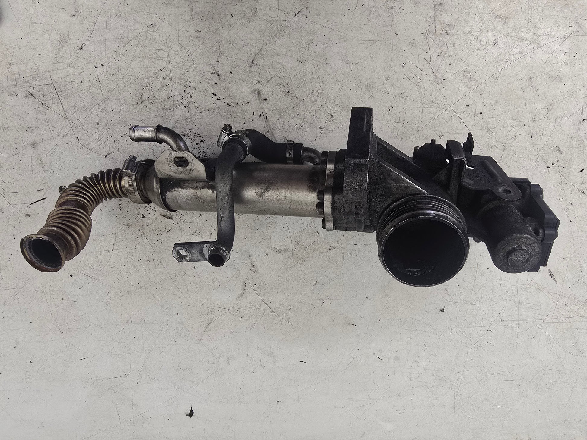 2006 Volvo XC90 D5 EGR Valve and Cooler 8801828