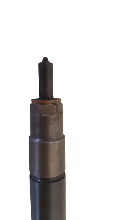 2006-2014 Volvo XC90 D5 Fuel Injector 30750283