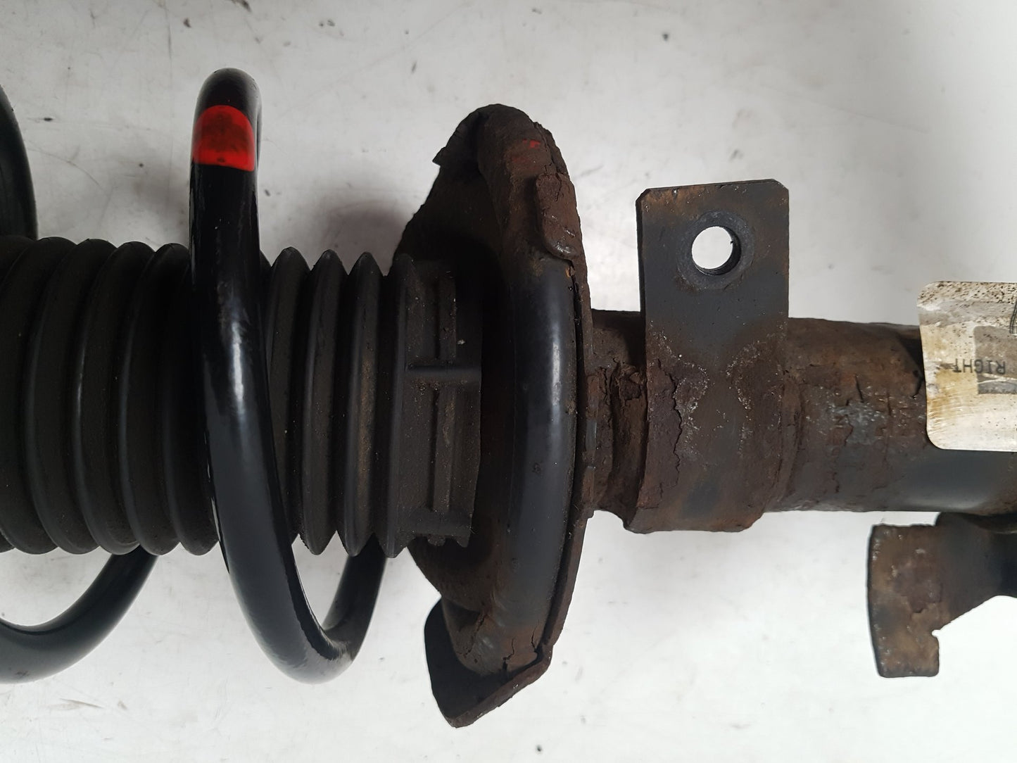 2008 - 2009 Volvo C70  Convertible Right Front Shock Absorber 31277595