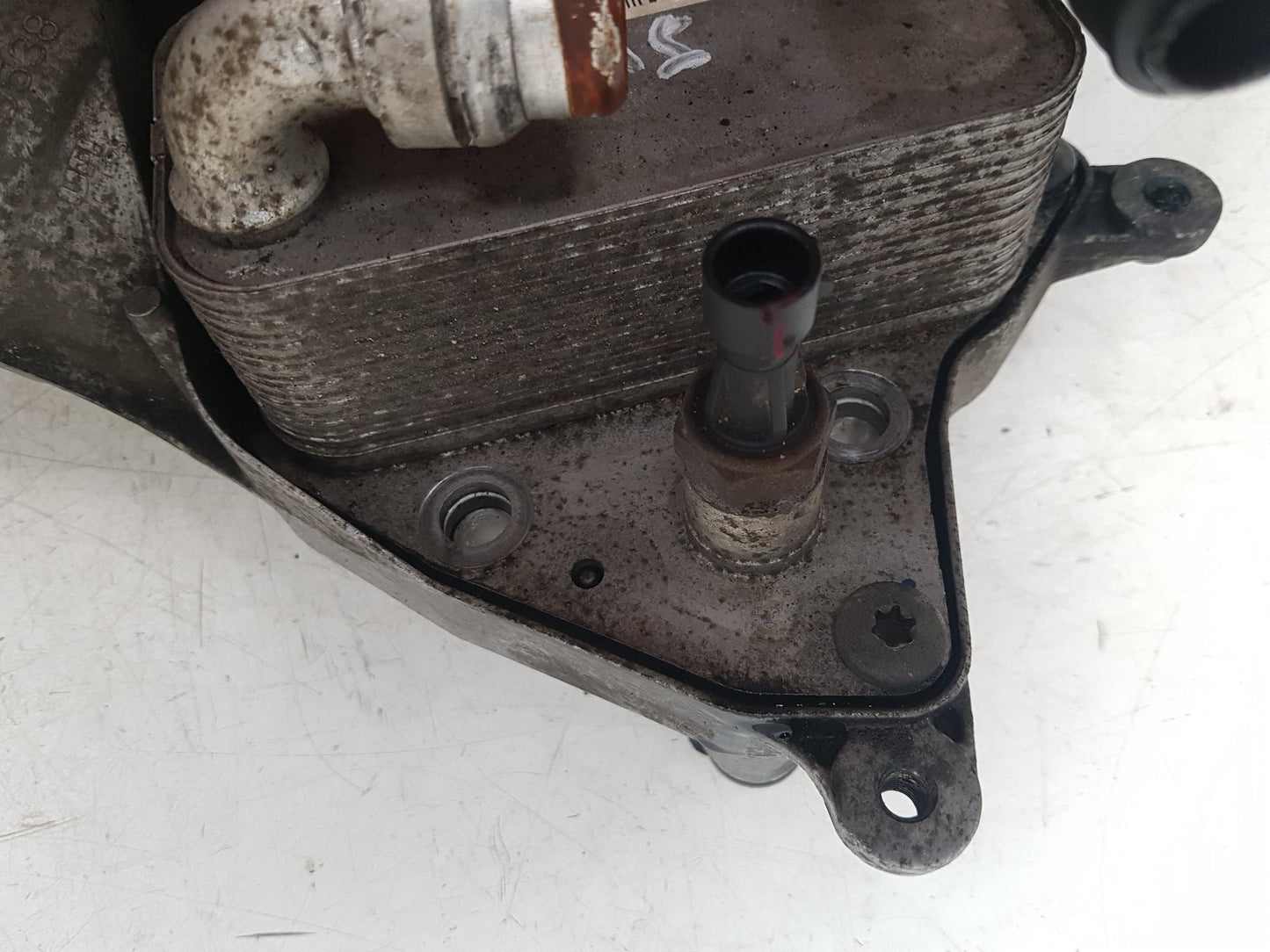 2010 Saab 9-3  Estate Engine Oil Cooler 55220875