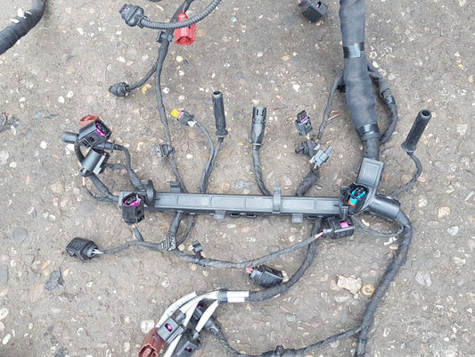 2010 - 2017 Volkswagen Sharan  MPV Wiring Harness 04L972610B