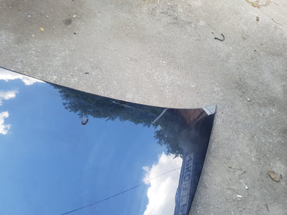 2008 - 2009 Volvo C70  Convertible Bonnet 31335883