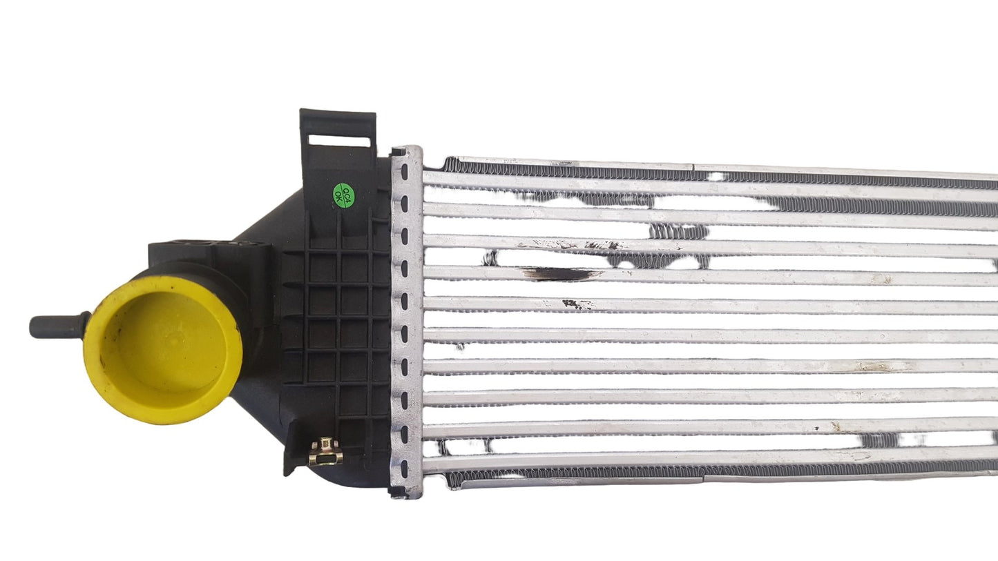 Ford Focus   Intercooler Fan 96492