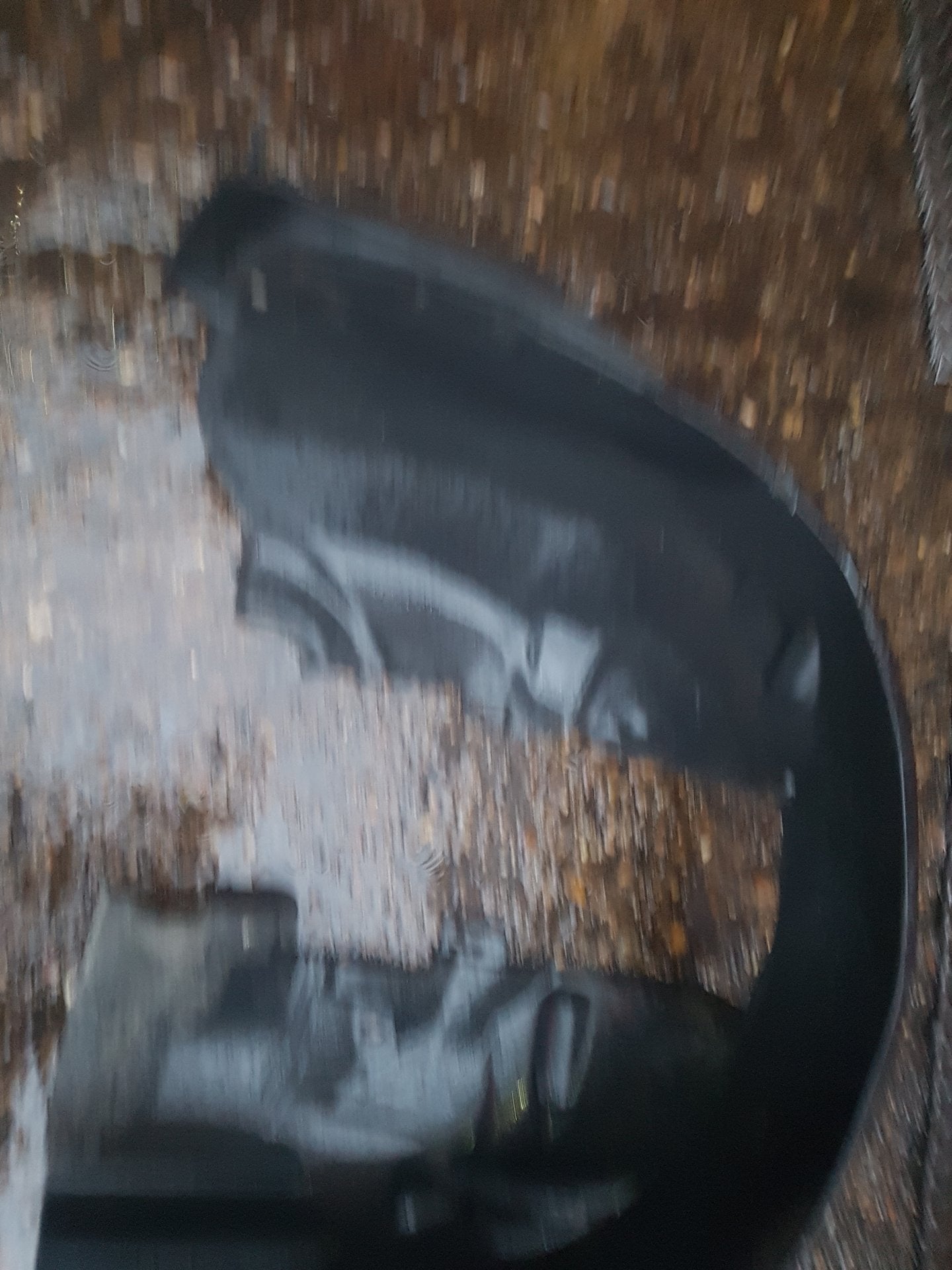 2008 - 2011 Volvo V70  Estate Right Front Guard Liner 31213651